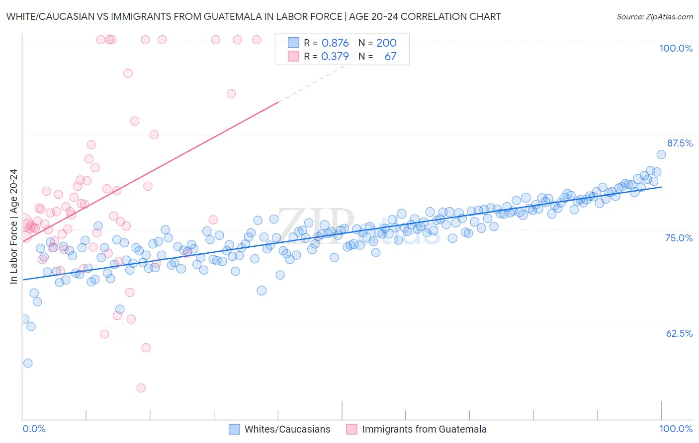 White/Caucasian vs Immigrants from Guatemala In Labor Force | Age 20-24