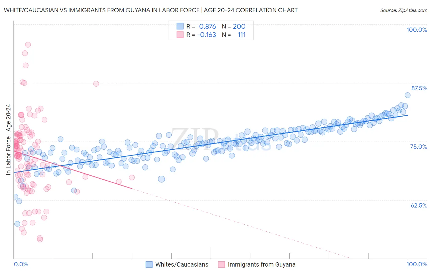 White/Caucasian vs Immigrants from Guyana In Labor Force | Age 20-24
