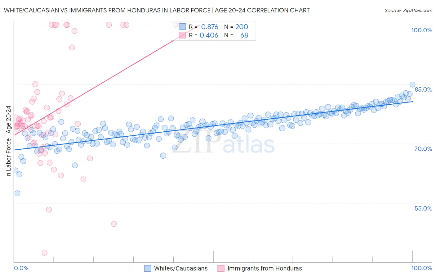 White/Caucasian vs Immigrants from Honduras In Labor Force | Age 20-24