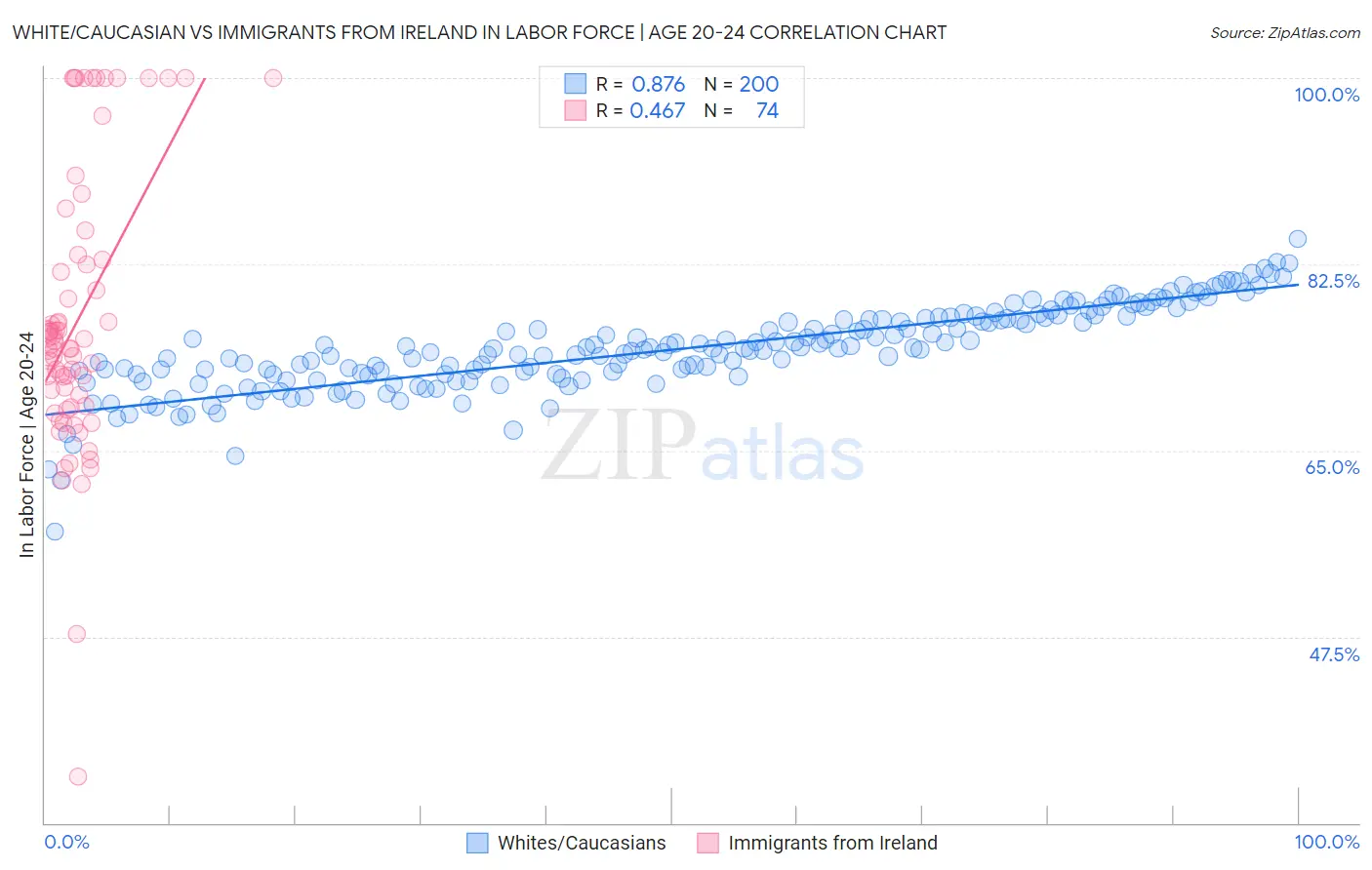 White/Caucasian vs Immigrants from Ireland In Labor Force | Age 20-24