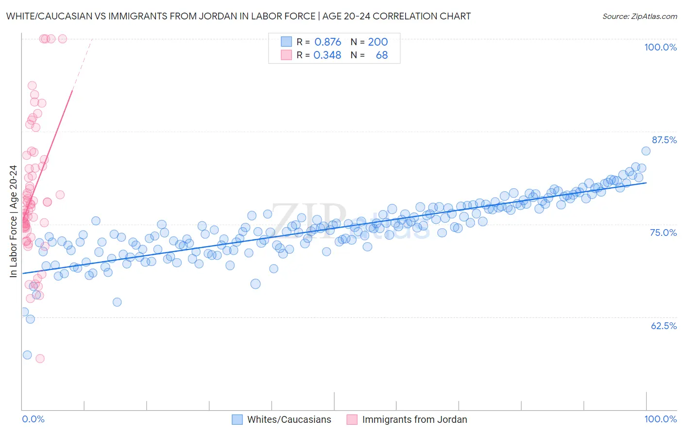 White/Caucasian vs Immigrants from Jordan In Labor Force | Age 20-24