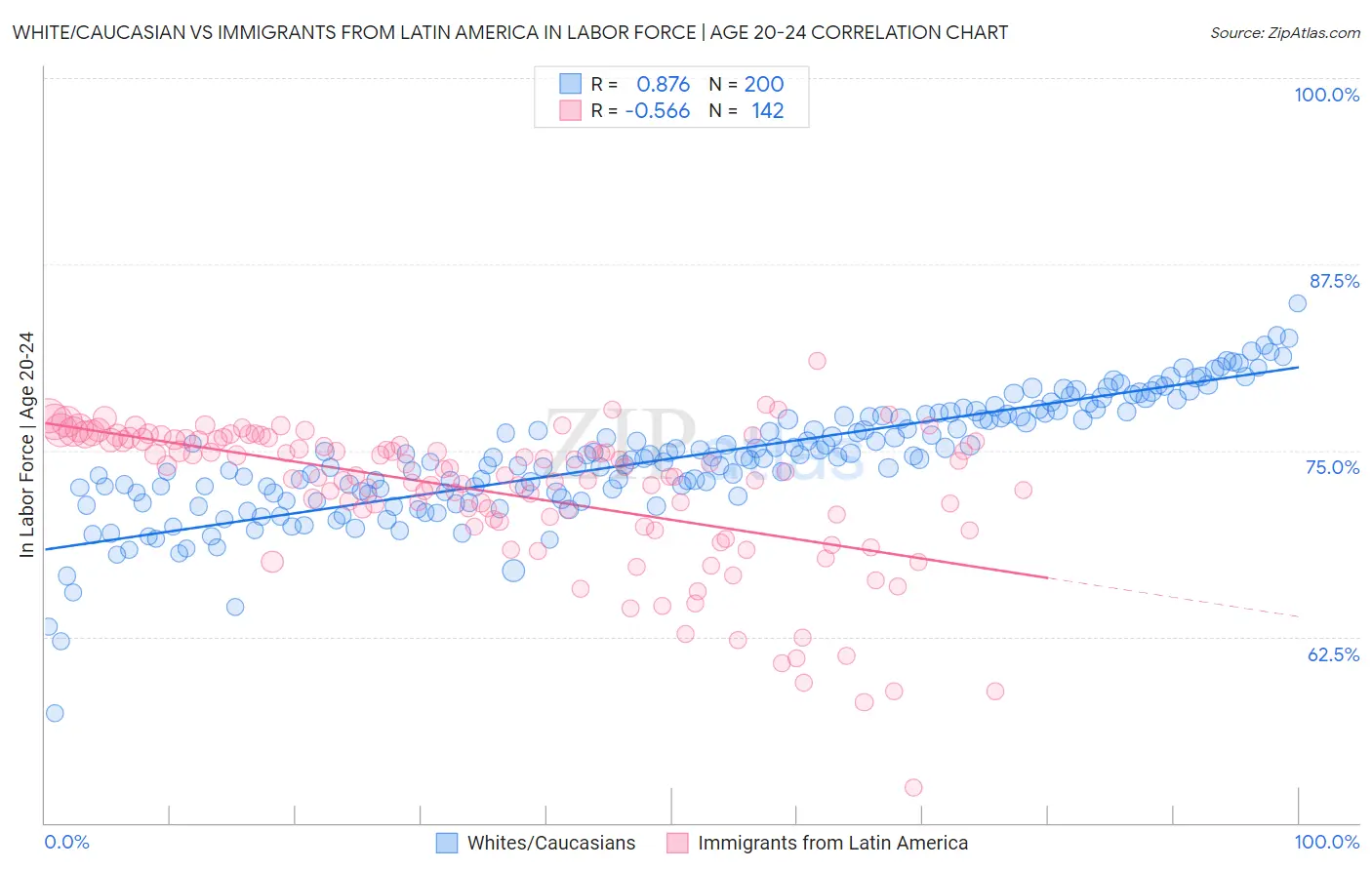 White/Caucasian vs Immigrants from Latin America In Labor Force | Age 20-24