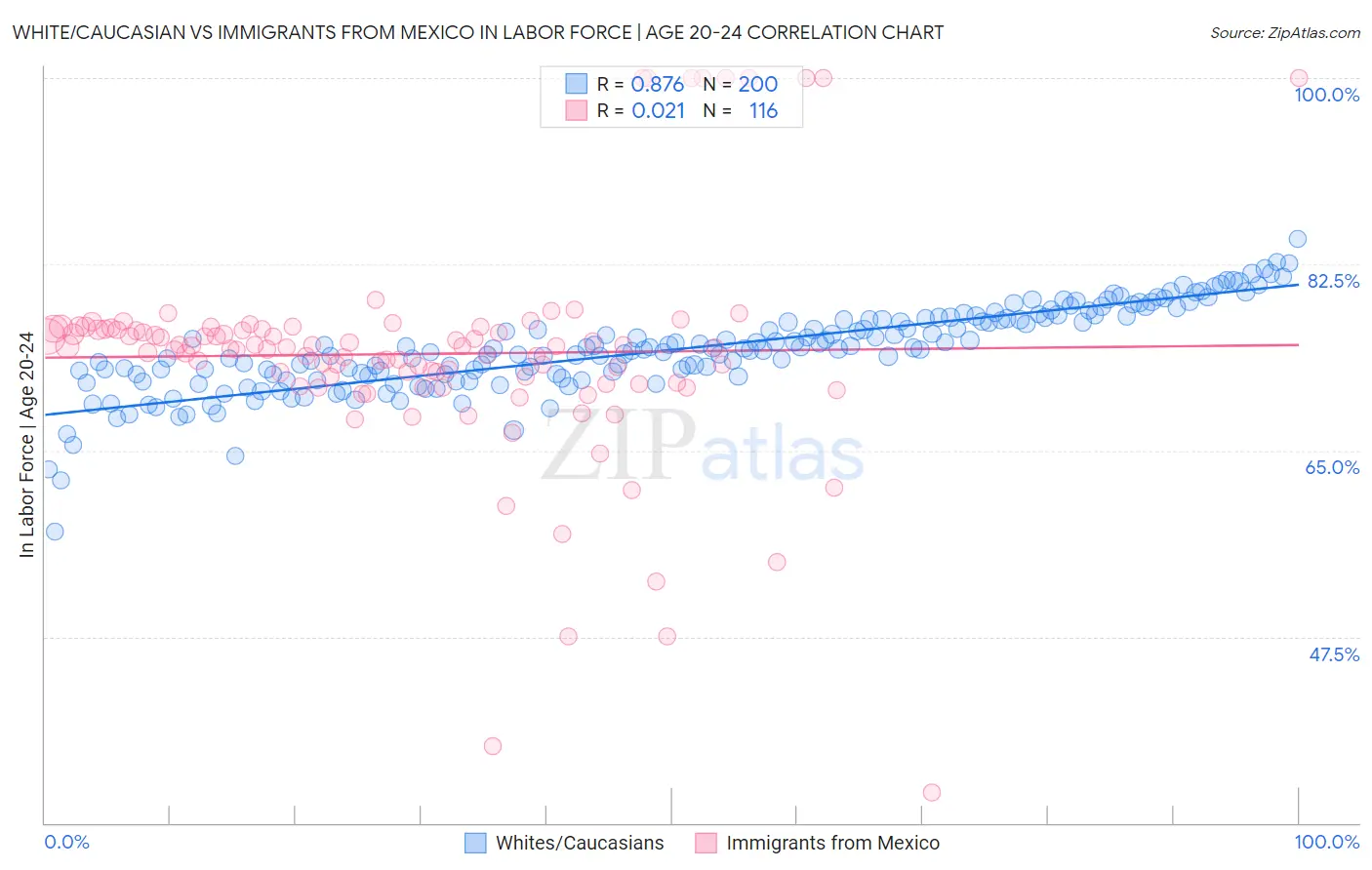 White/Caucasian vs Immigrants from Mexico In Labor Force | Age 20-24