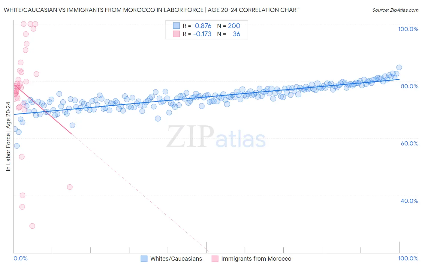 White/Caucasian vs Immigrants from Morocco In Labor Force | Age 20-24