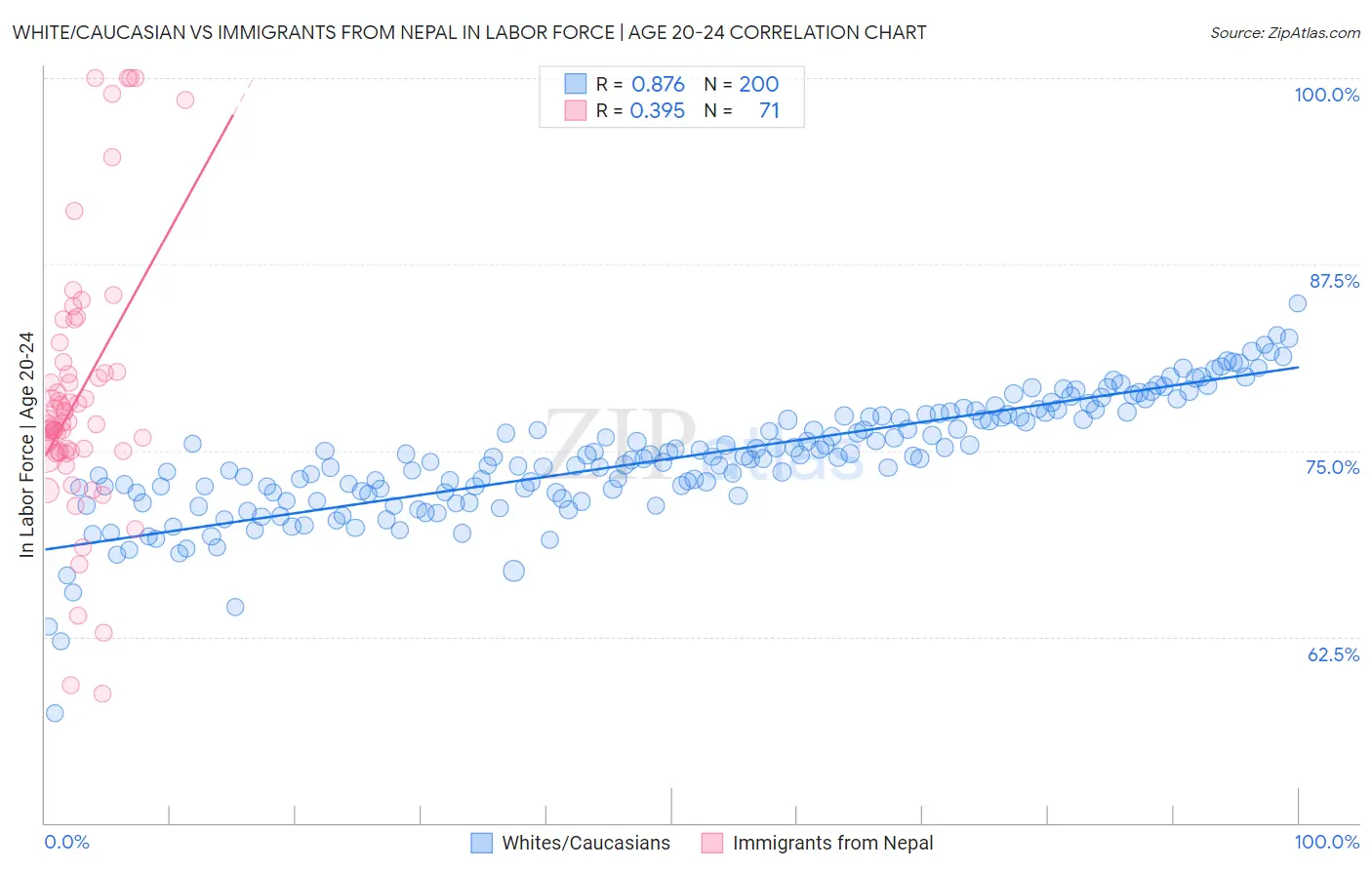 White/Caucasian vs Immigrants from Nepal In Labor Force | Age 20-24