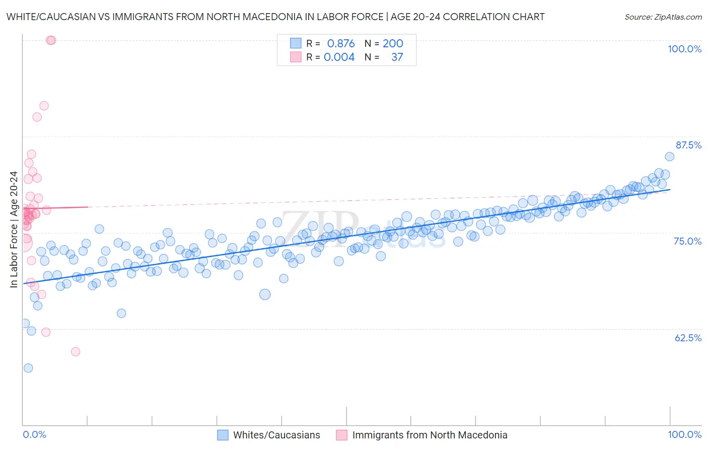 White/Caucasian vs Immigrants from North Macedonia In Labor Force | Age 20-24