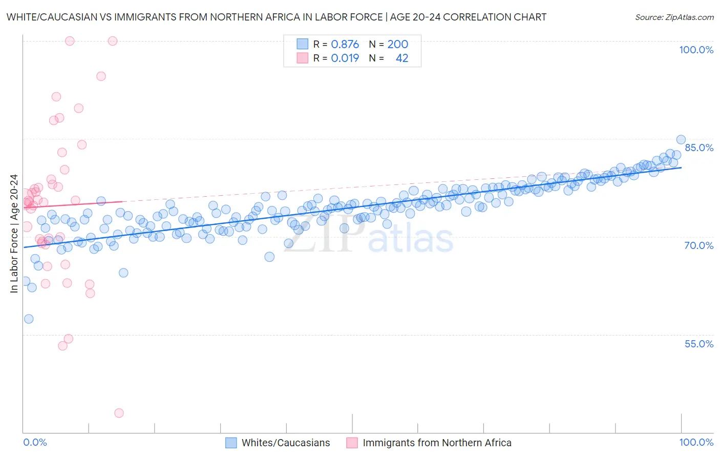 White/Caucasian vs Immigrants from Northern Africa In Labor Force | Age 20-24