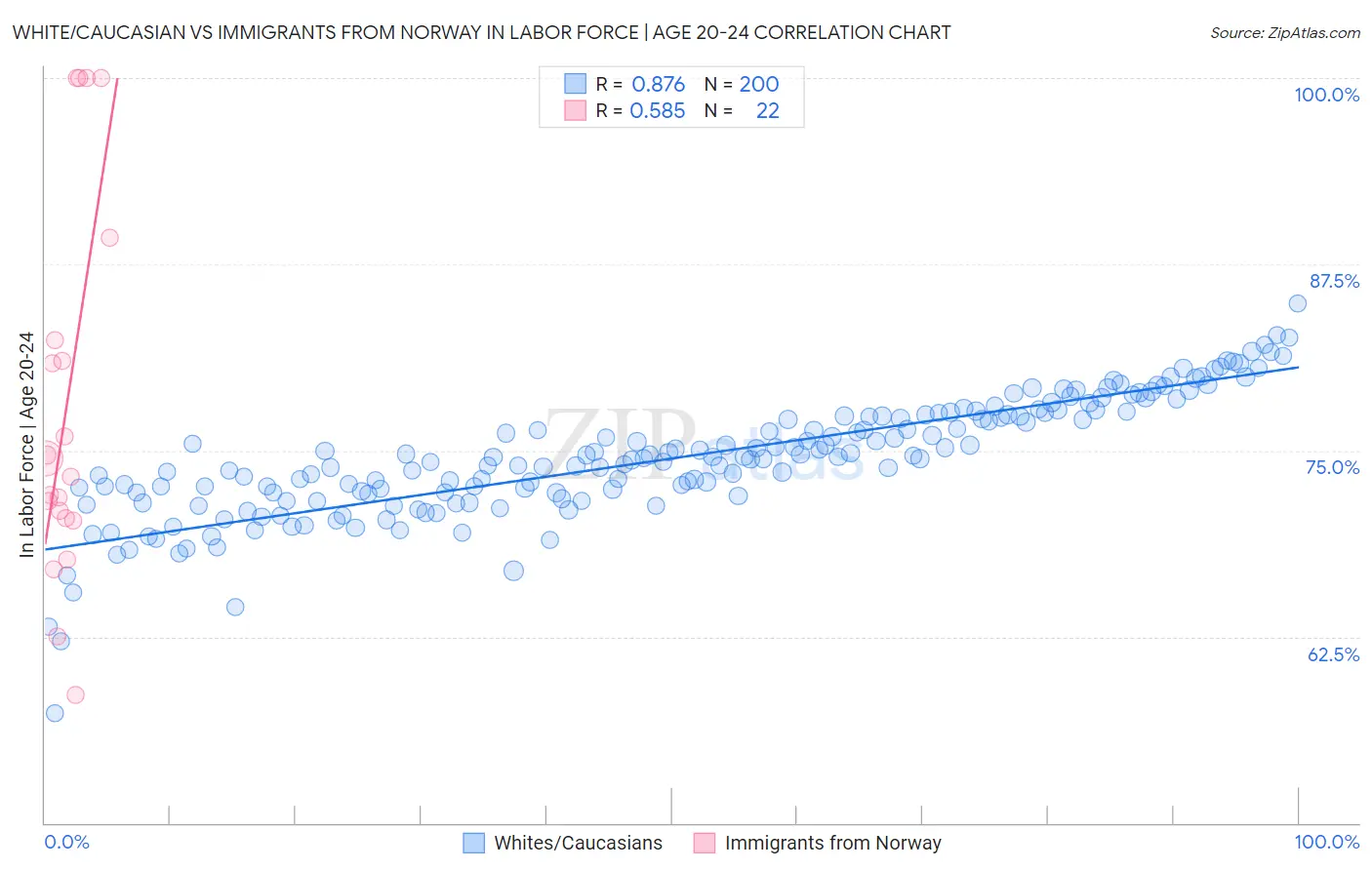 White/Caucasian vs Immigrants from Norway In Labor Force | Age 20-24
