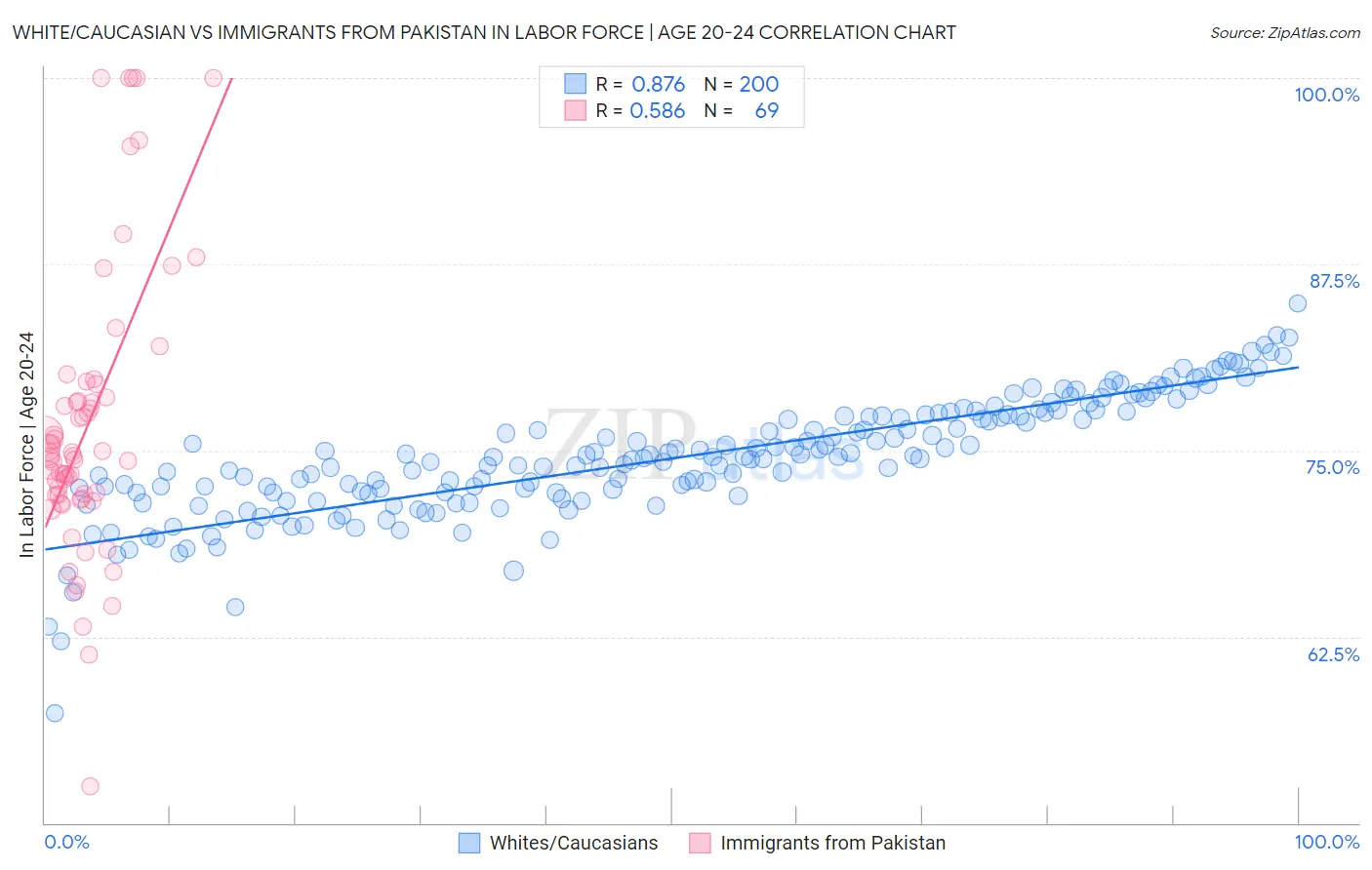 White/Caucasian vs Immigrants from Pakistan In Labor Force | Age 20-24