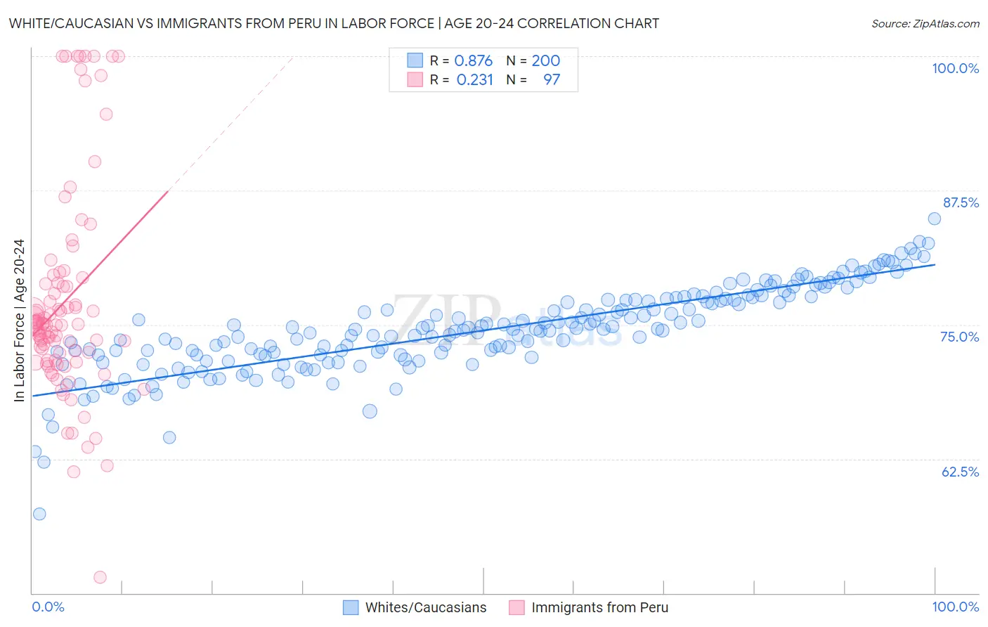 White/Caucasian vs Immigrants from Peru In Labor Force | Age 20-24