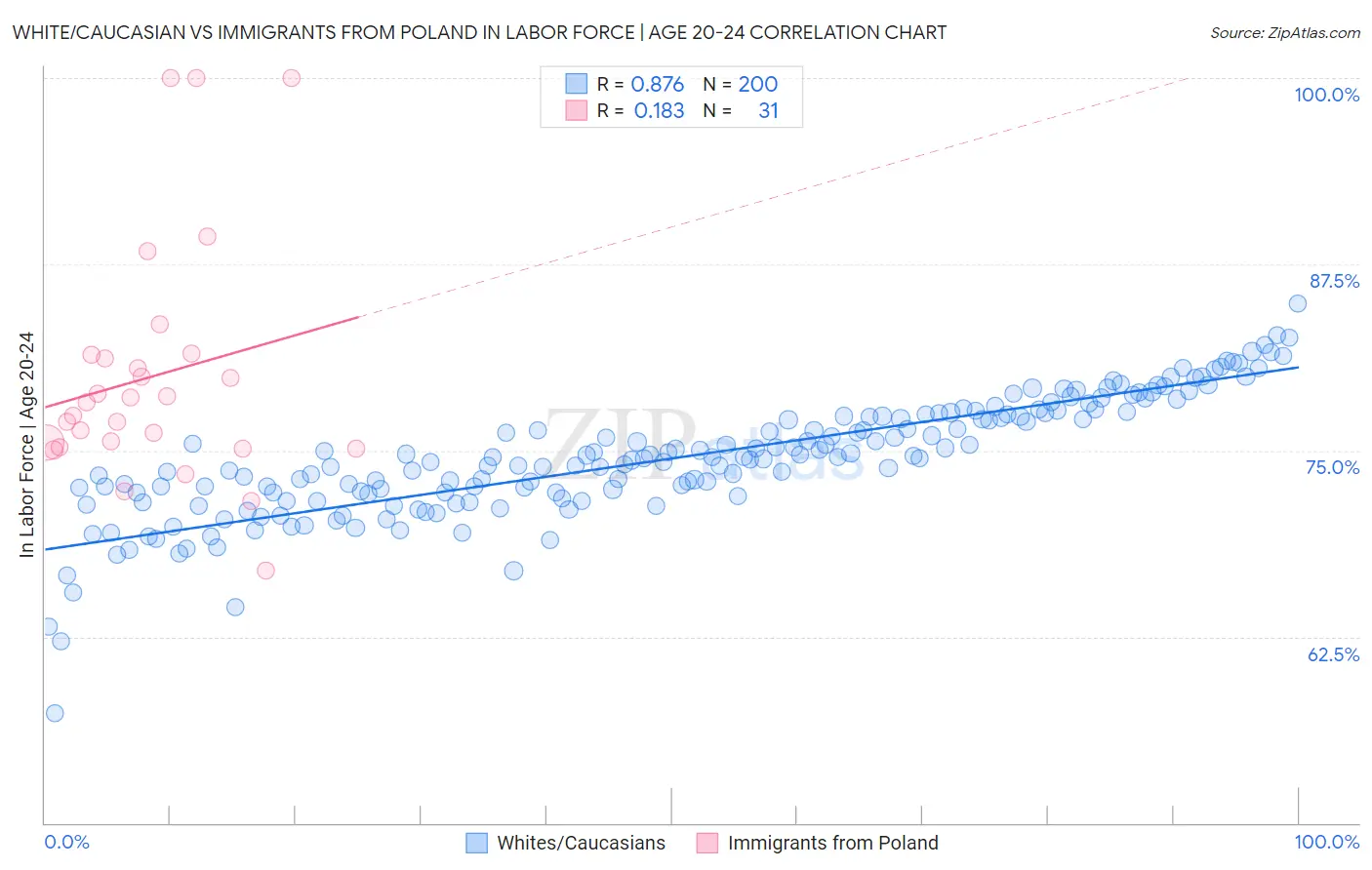White/Caucasian vs Immigrants from Poland In Labor Force | Age 20-24
