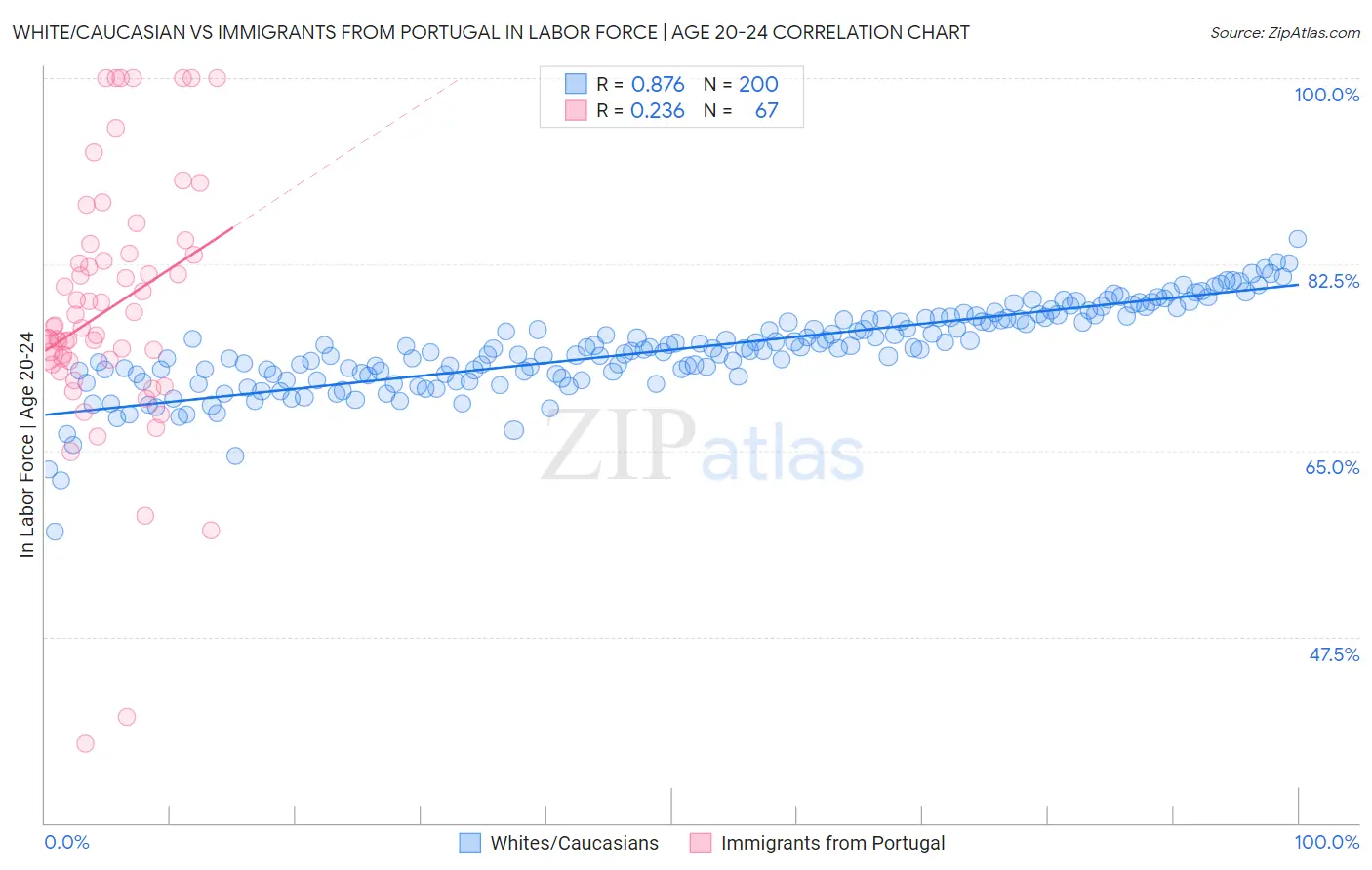 White/Caucasian vs Immigrants from Portugal In Labor Force | Age 20-24