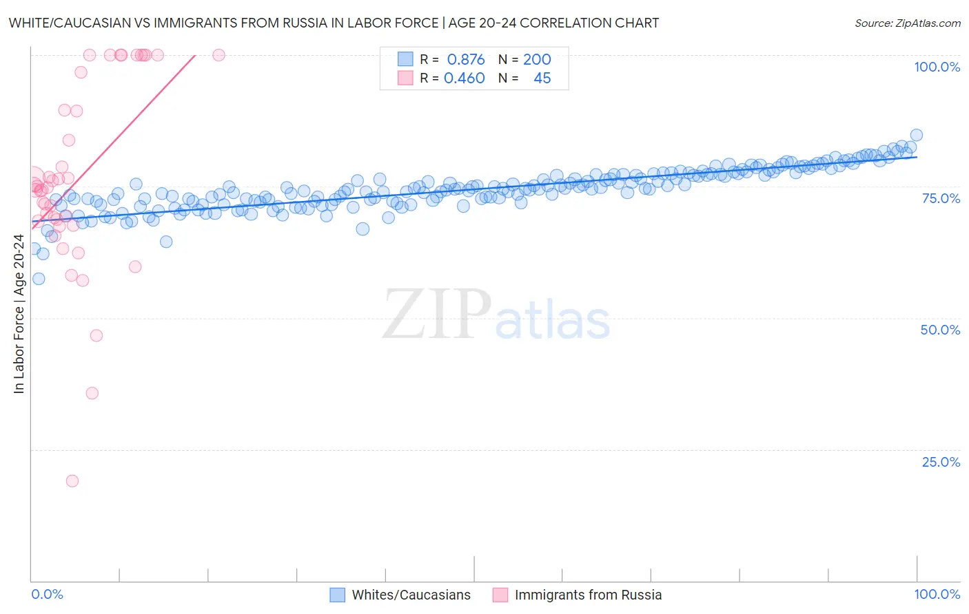 White/Caucasian vs Immigrants from Russia In Labor Force | Age 20-24