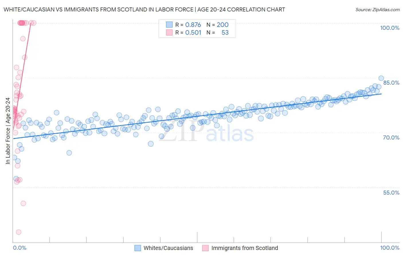 White/Caucasian vs Immigrants from Scotland In Labor Force | Age 20-24