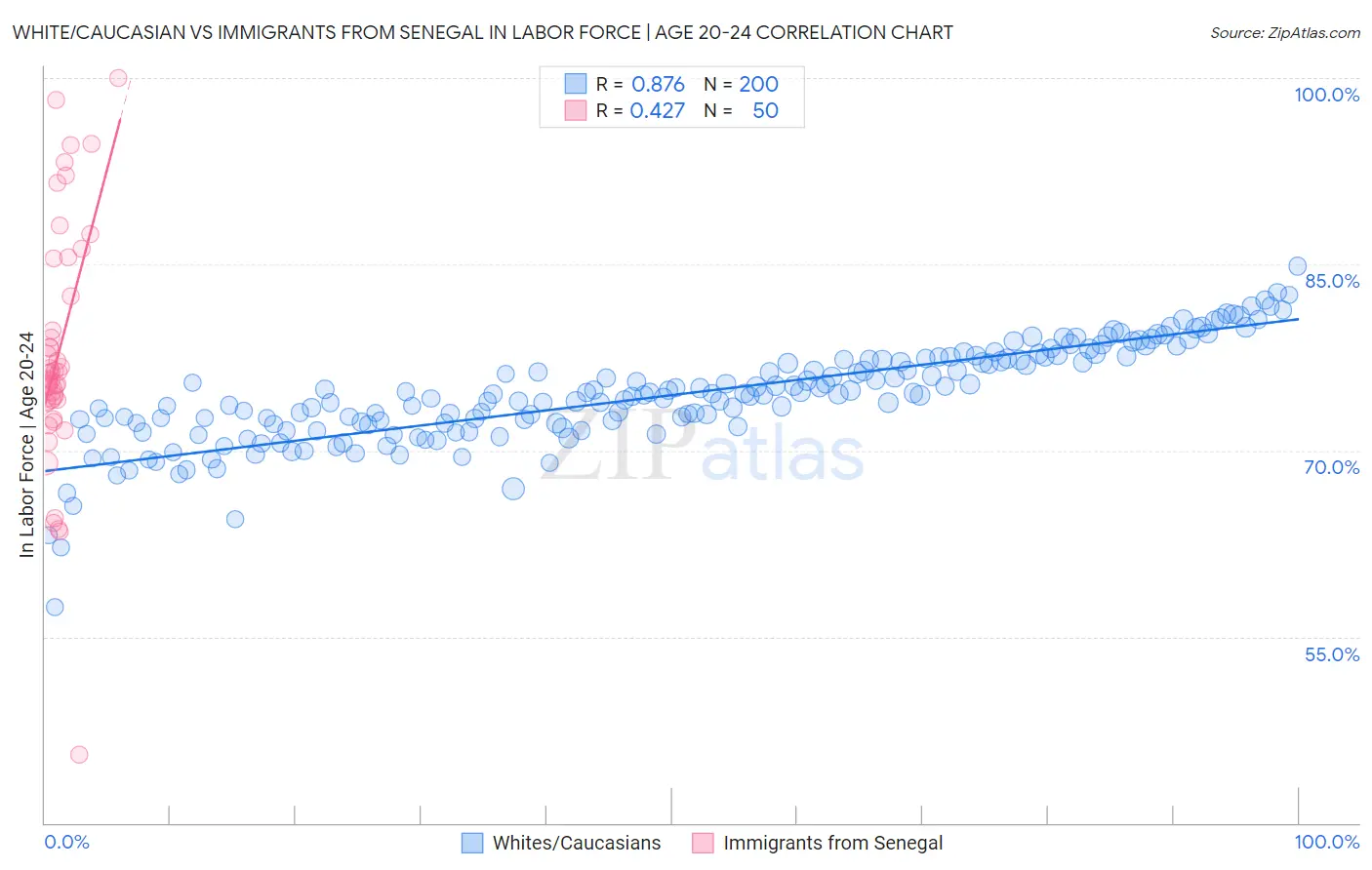White/Caucasian vs Immigrants from Senegal In Labor Force | Age 20-24