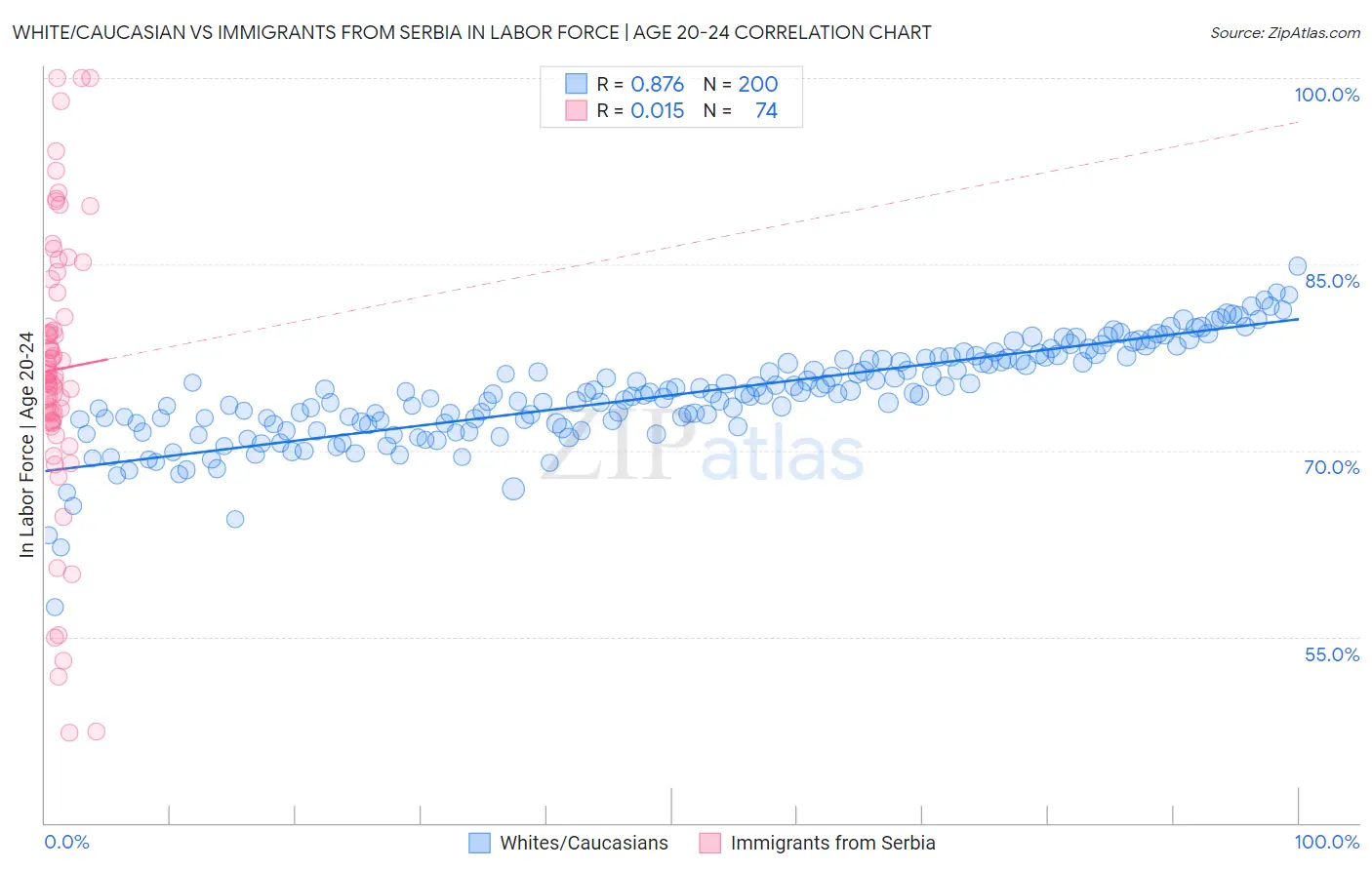White/Caucasian vs Immigrants from Serbia In Labor Force | Age 20-24