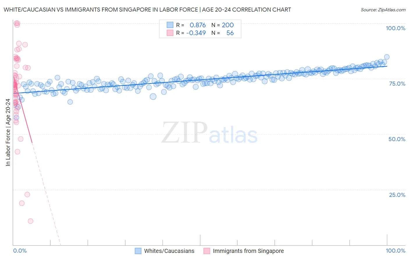 White/Caucasian vs Immigrants from Singapore In Labor Force | Age 20-24