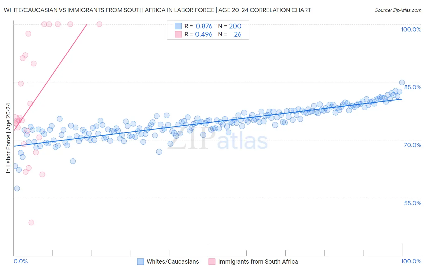 White/Caucasian vs Immigrants from South Africa In Labor Force | Age 20-24