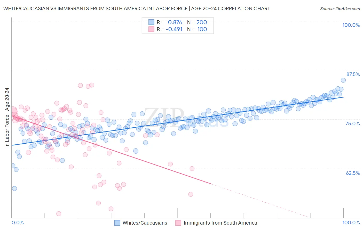 White/Caucasian vs Immigrants from South America In Labor Force | Age 20-24