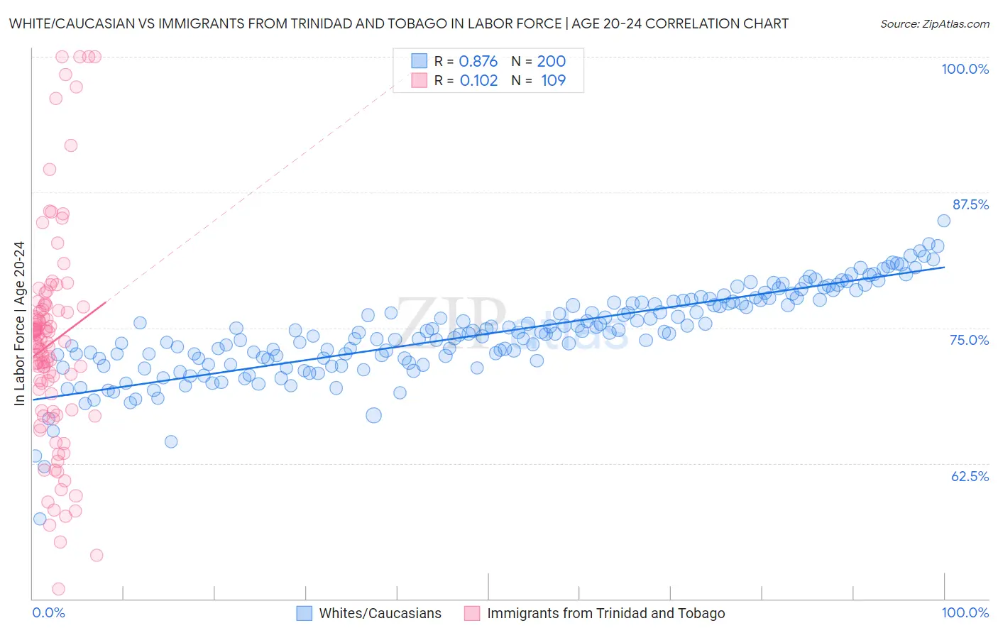 White/Caucasian vs Immigrants from Trinidad and Tobago In Labor Force | Age 20-24