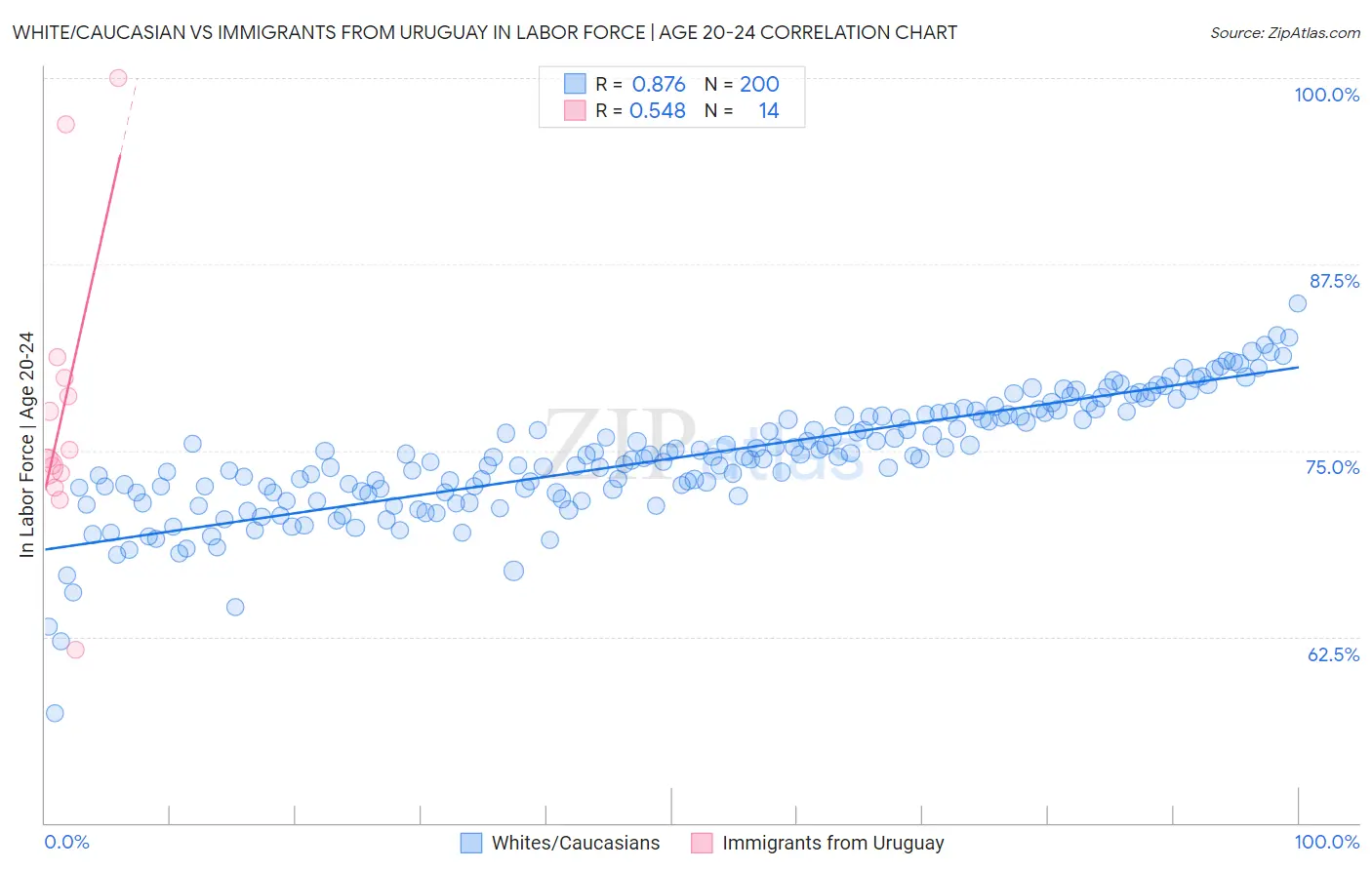 White/Caucasian vs Immigrants from Uruguay In Labor Force | Age 20-24