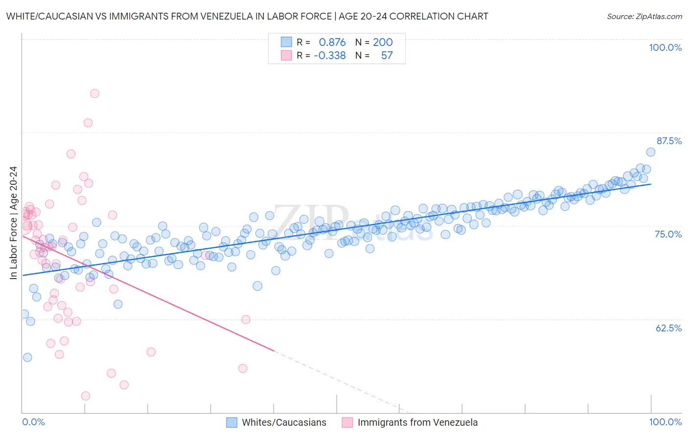 White/Caucasian vs Immigrants from Venezuela In Labor Force | Age 20-24