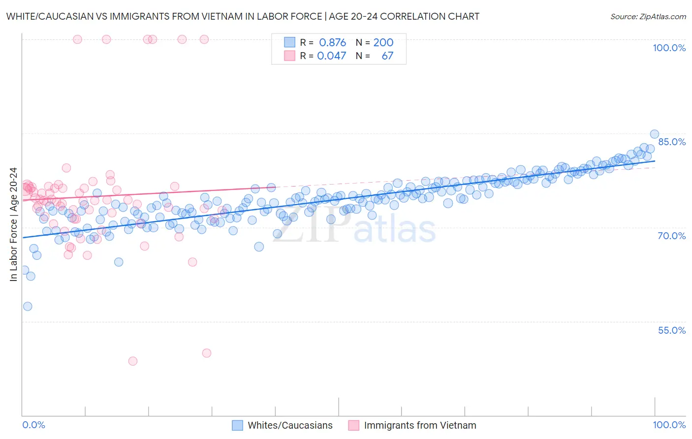 White/Caucasian vs Immigrants from Vietnam In Labor Force | Age 20-24