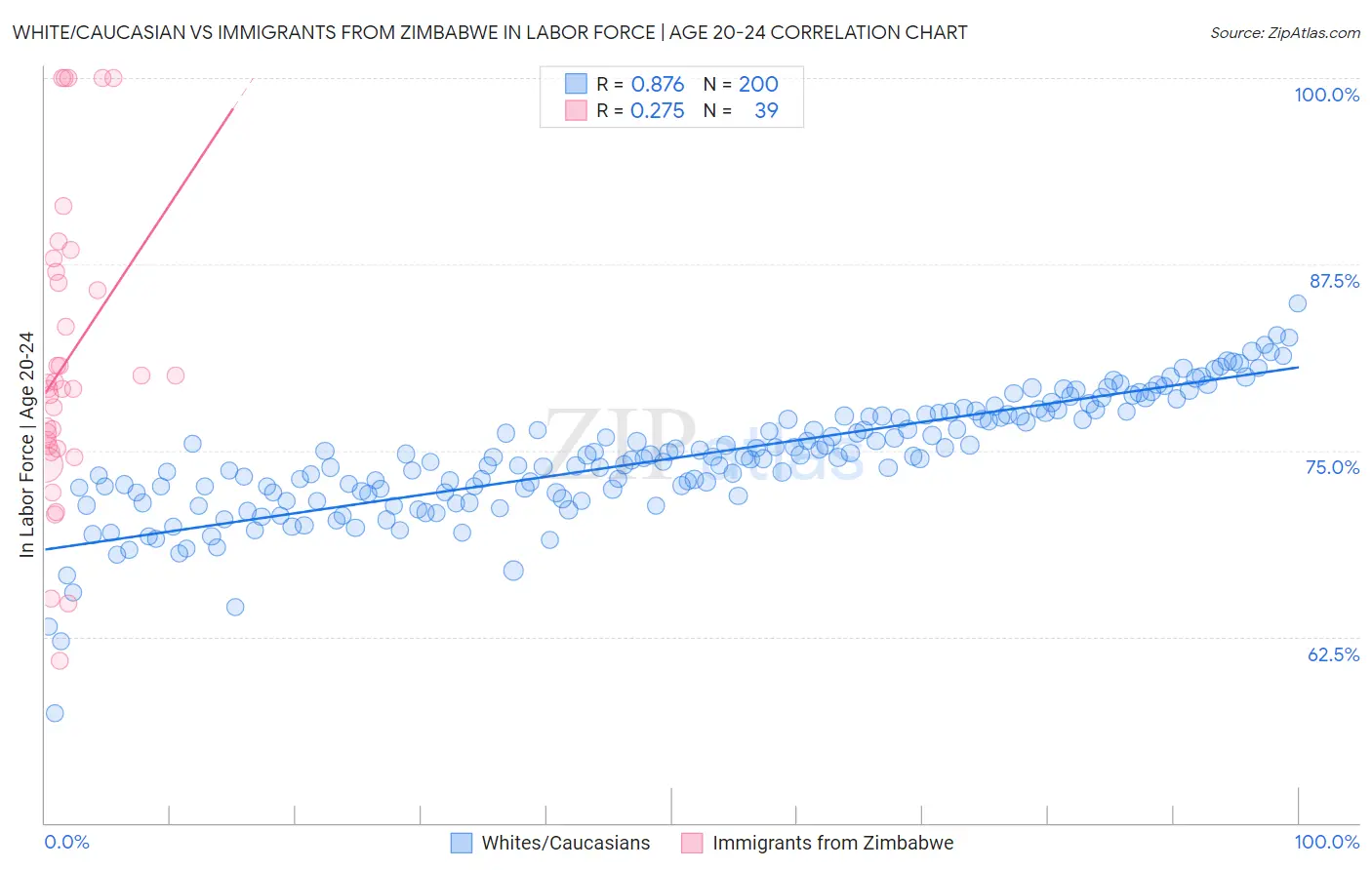 White/Caucasian vs Immigrants from Zimbabwe In Labor Force | Age 20-24