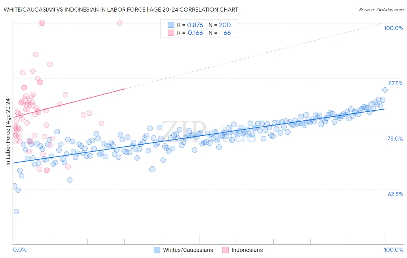 White/Caucasian vs Indonesian In Labor Force | Age 20-24