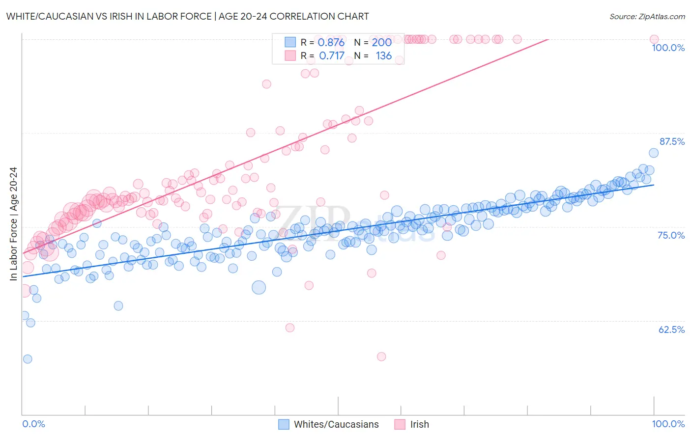 White/Caucasian vs Irish In Labor Force | Age 20-24