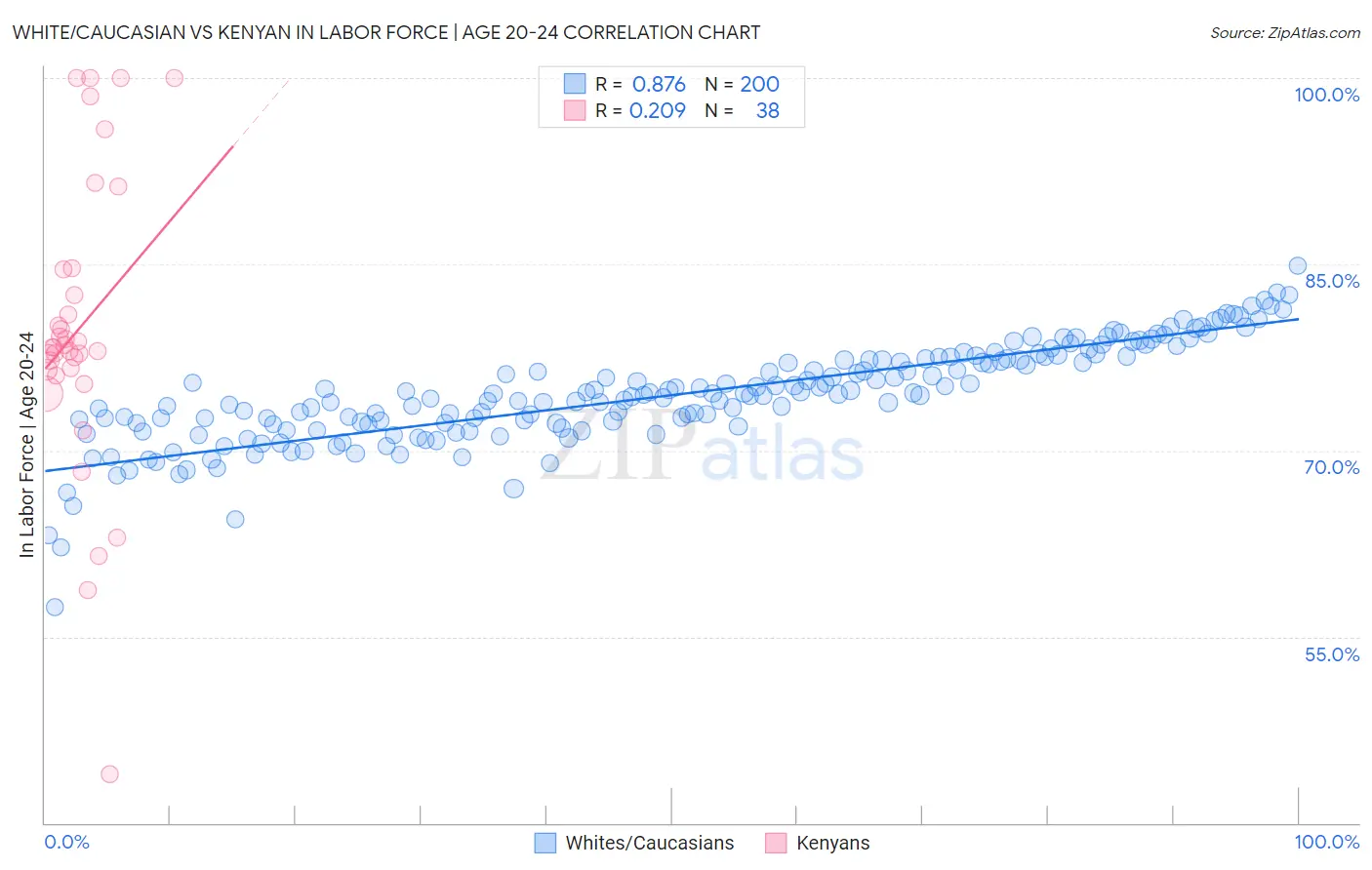 White/Caucasian vs Kenyan In Labor Force | Age 20-24