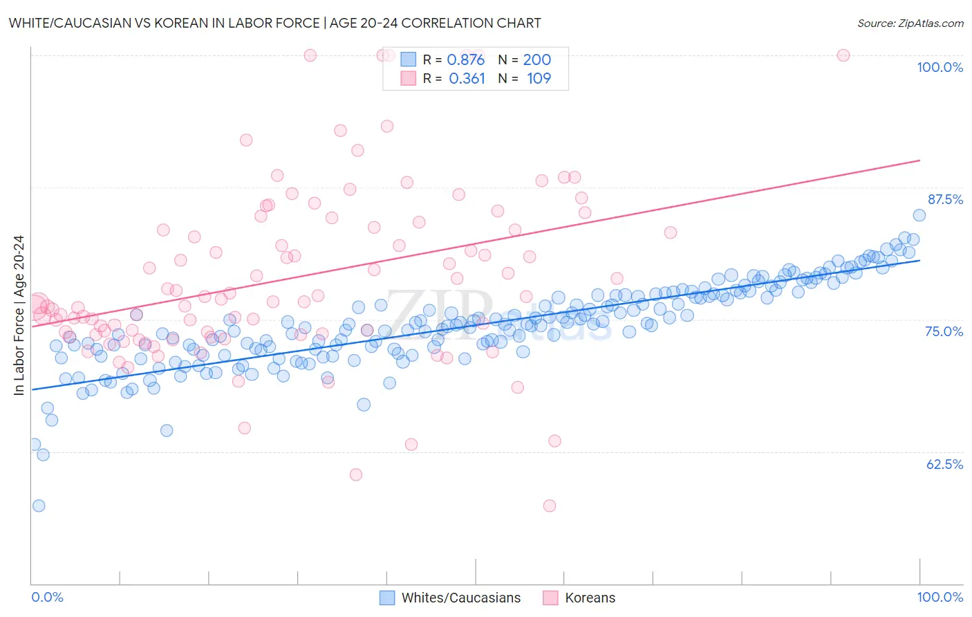 White/Caucasian vs Korean In Labor Force | Age 20-24