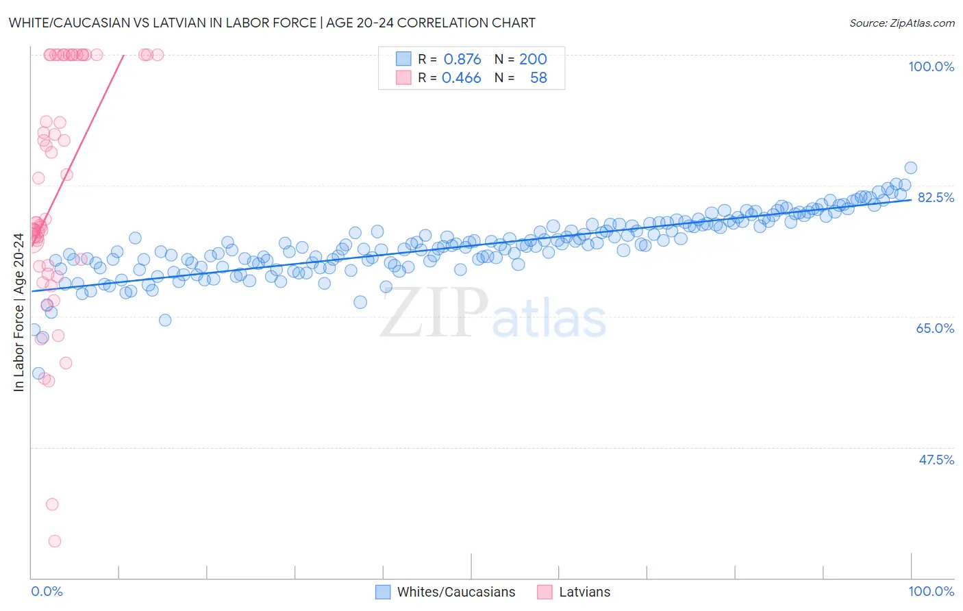 White/Caucasian vs Latvian In Labor Force | Age 20-24