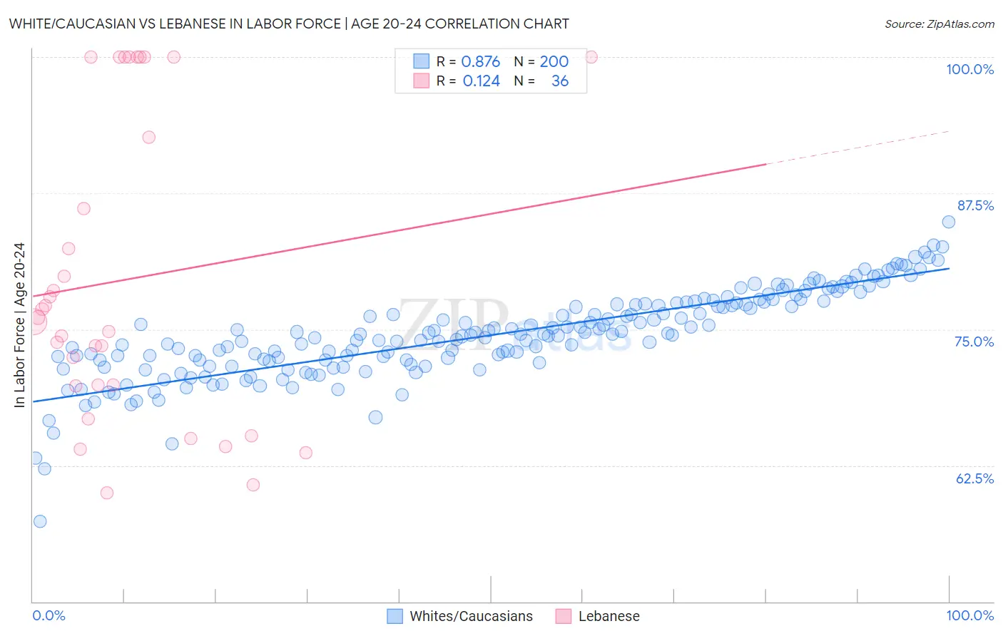 White/Caucasian vs Lebanese In Labor Force | Age 20-24