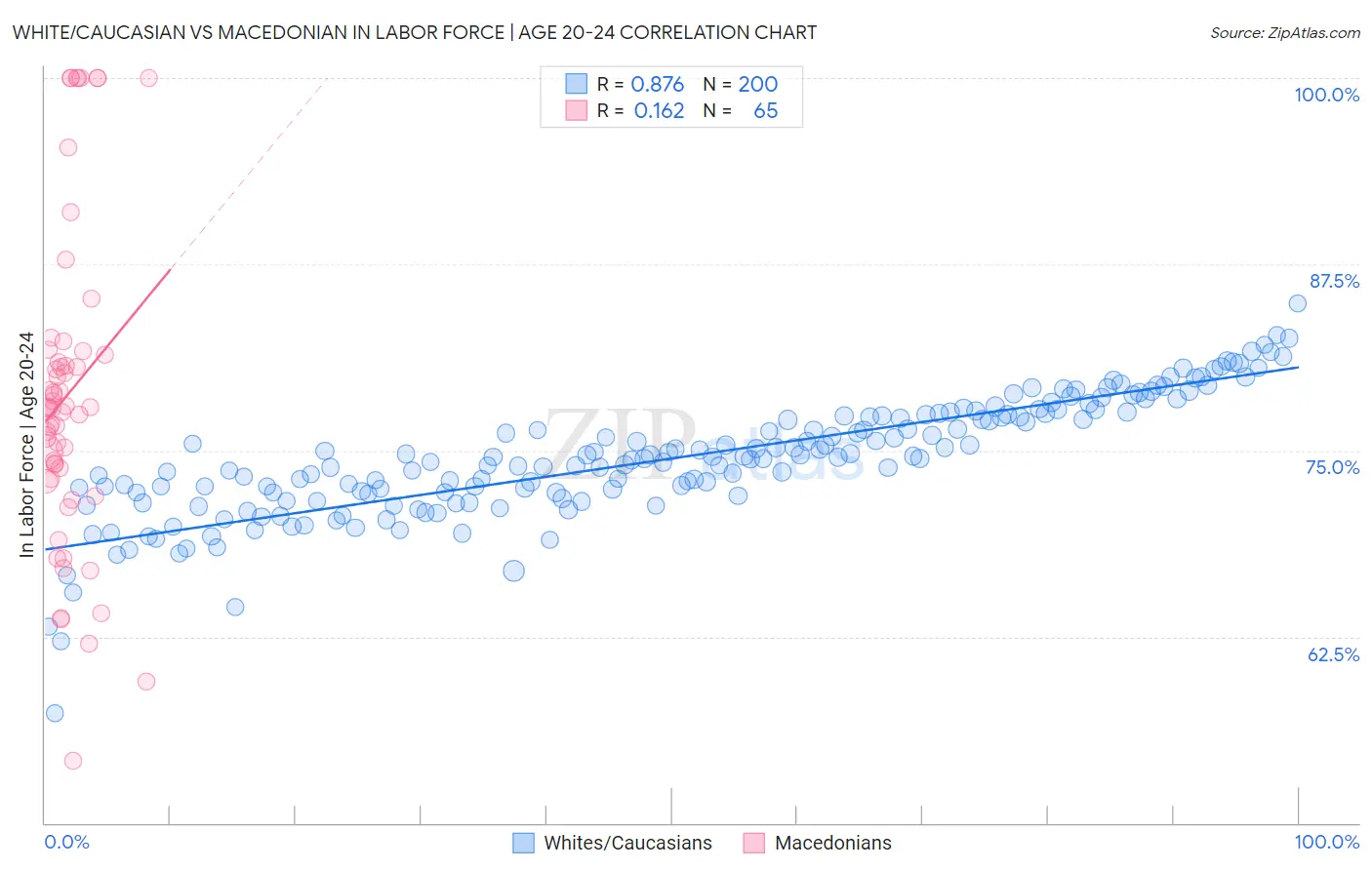 White/Caucasian vs Macedonian In Labor Force | Age 20-24