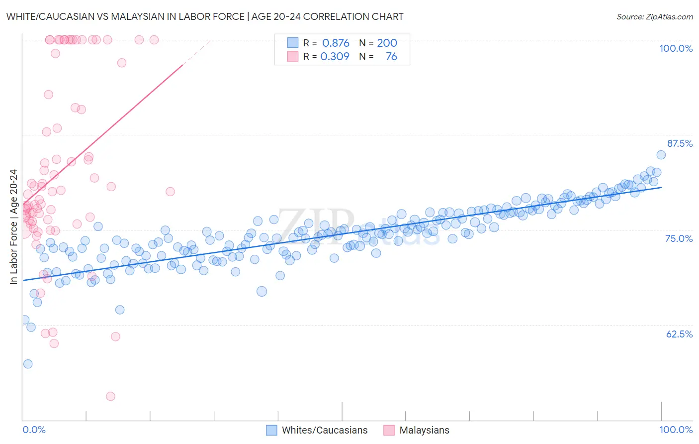 White/Caucasian vs Malaysian In Labor Force | Age 20-24