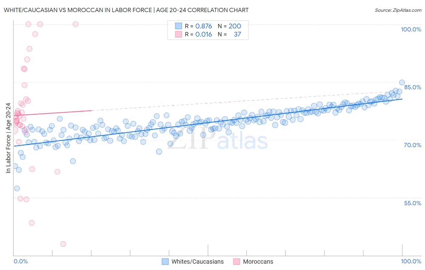 White/Caucasian vs Moroccan In Labor Force | Age 20-24