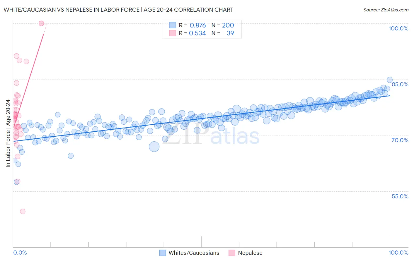 White/Caucasian vs Nepalese In Labor Force | Age 20-24