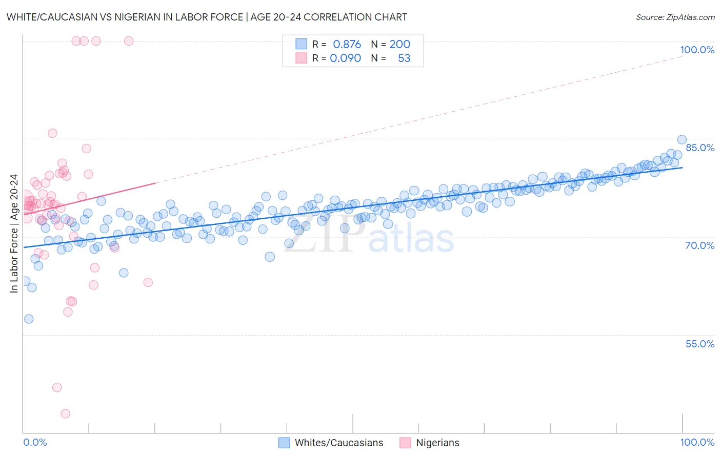White/Caucasian vs Nigerian In Labor Force | Age 20-24