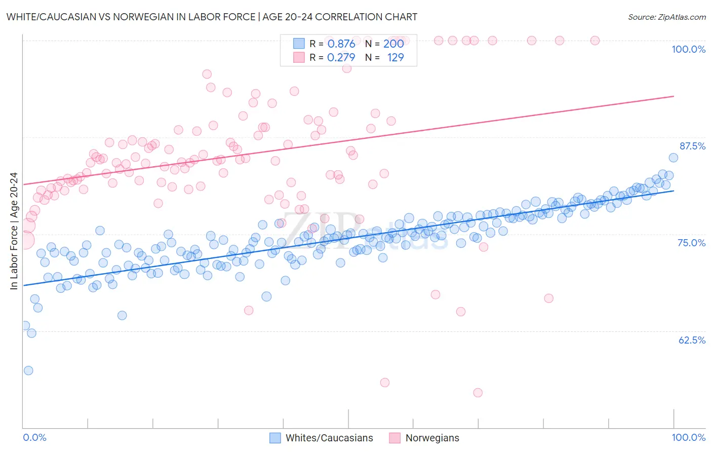 White/Caucasian vs Norwegian In Labor Force | Age 20-24