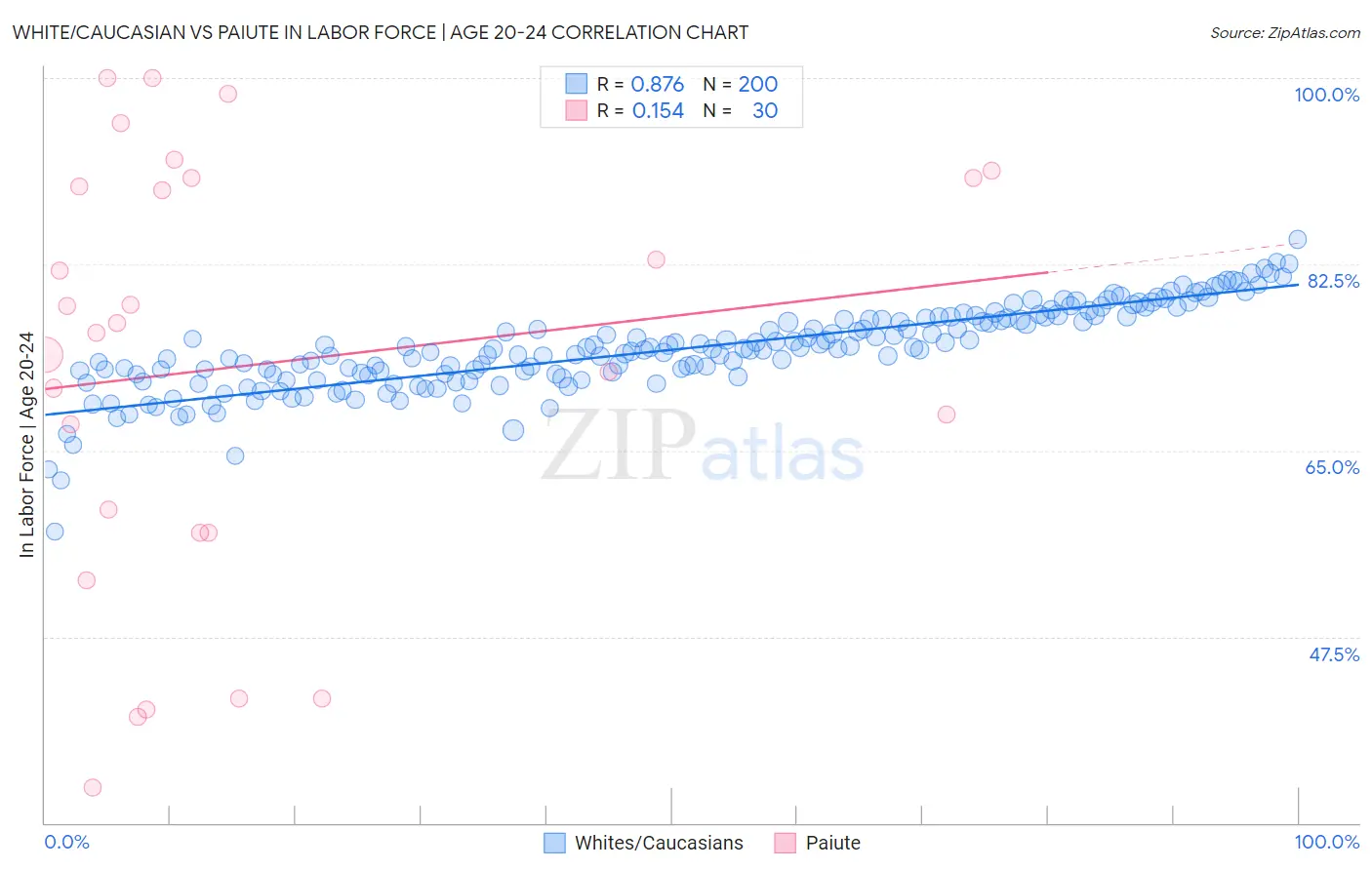 White/Caucasian vs Paiute In Labor Force | Age 20-24