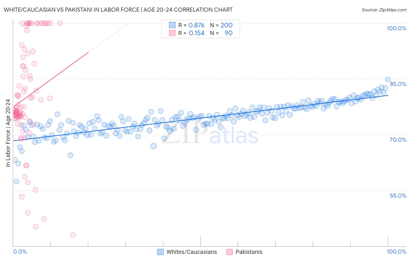 White/Caucasian vs Pakistani In Labor Force | Age 20-24