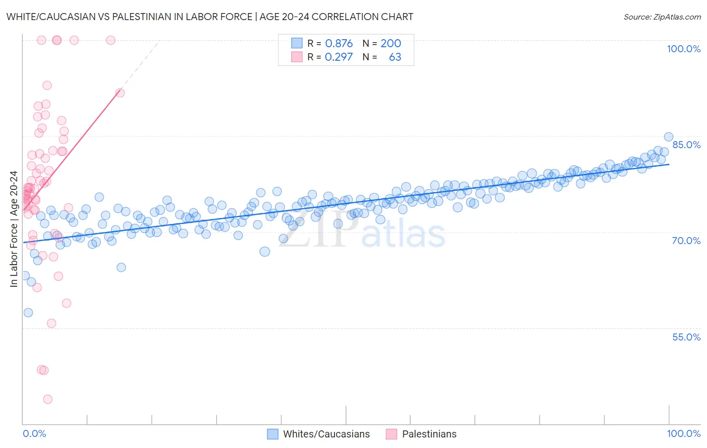 White/Caucasian vs Palestinian In Labor Force | Age 20-24