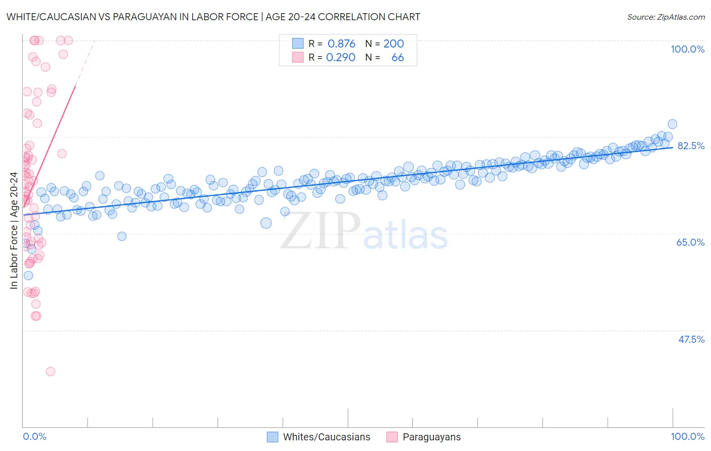 White/Caucasian vs Paraguayan In Labor Force | Age 20-24