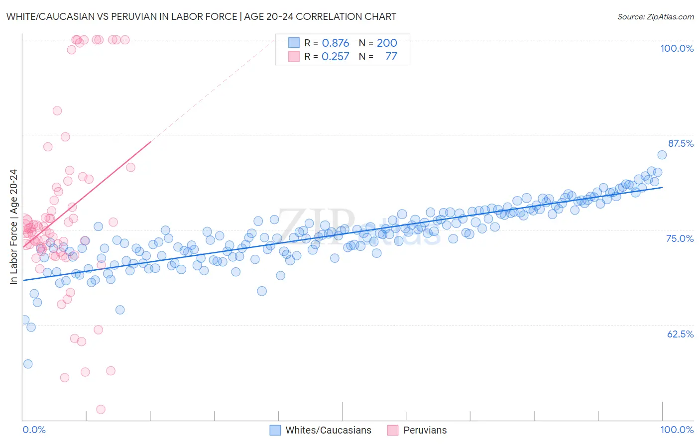 White/Caucasian vs Peruvian In Labor Force | Age 20-24