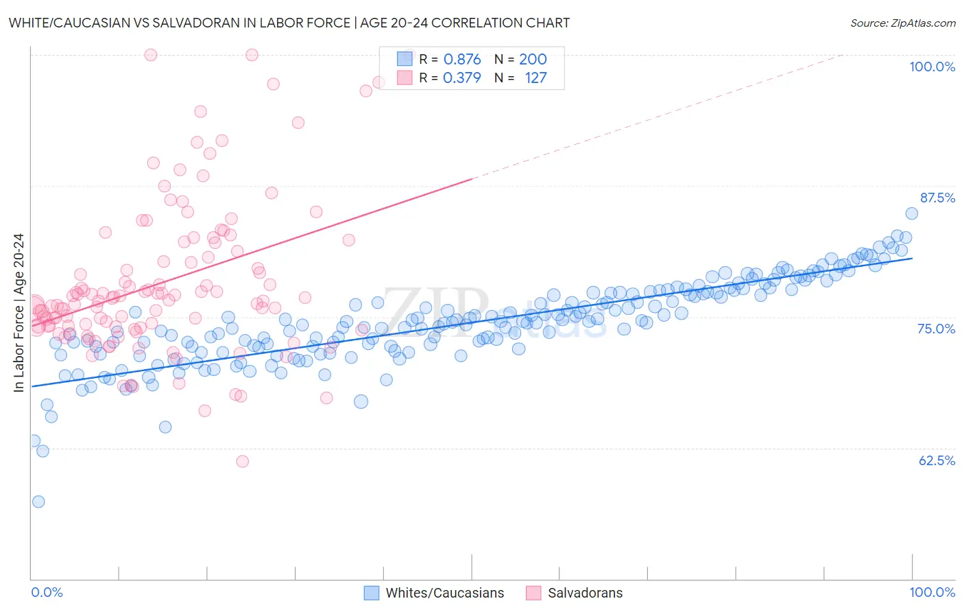 White/Caucasian vs Salvadoran In Labor Force | Age 20-24