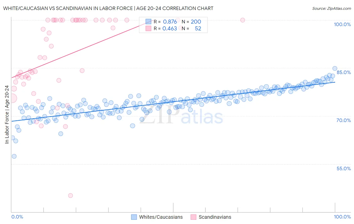 White/Caucasian vs Scandinavian In Labor Force | Age 20-24