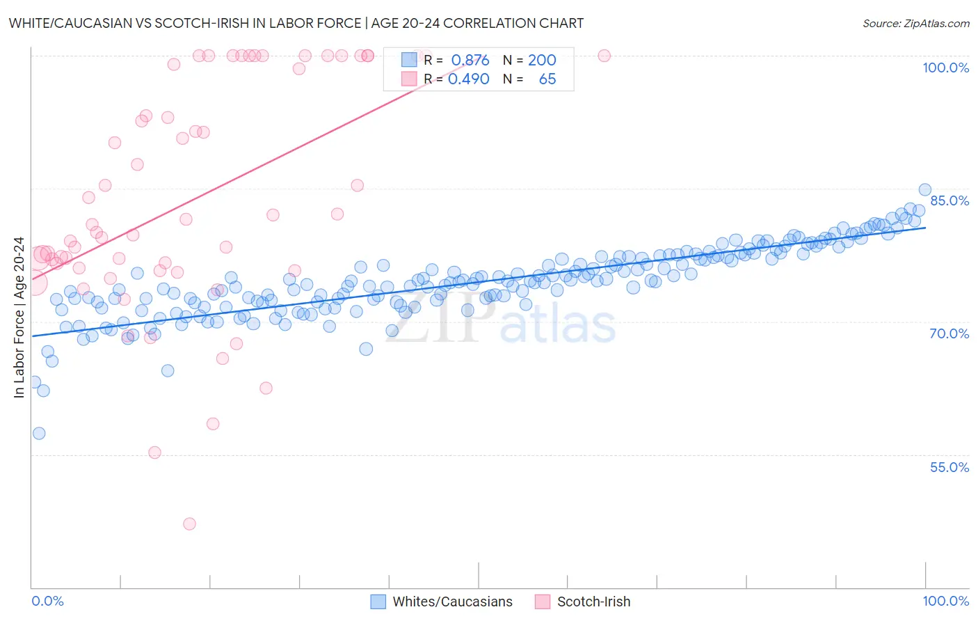 White/Caucasian vs Scotch-Irish In Labor Force | Age 20-24