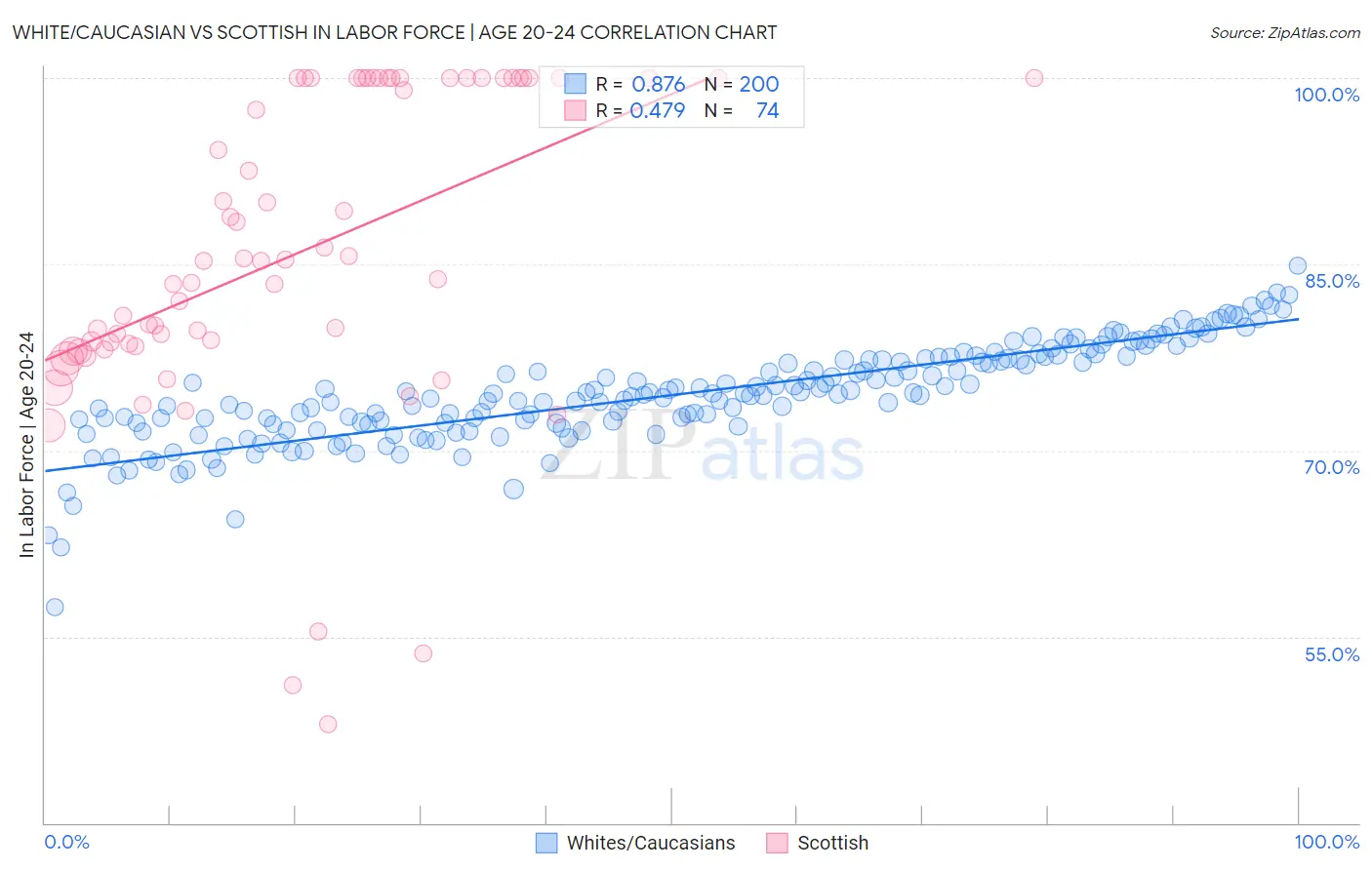 White/Caucasian vs Scottish In Labor Force | Age 20-24
