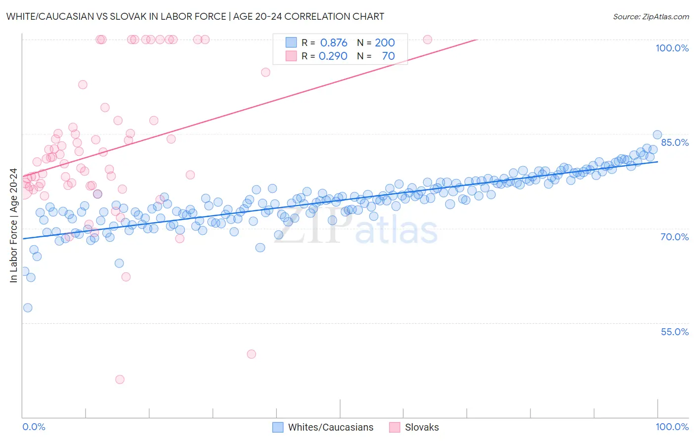 White/Caucasian vs Slovak In Labor Force | Age 20-24
